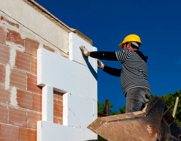 Best Insulation Removal  in Fortville, IN