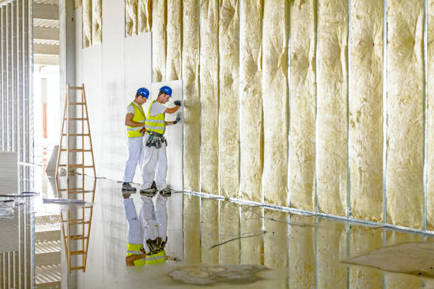 Best Residential Insulation Services  in Fortville, IN